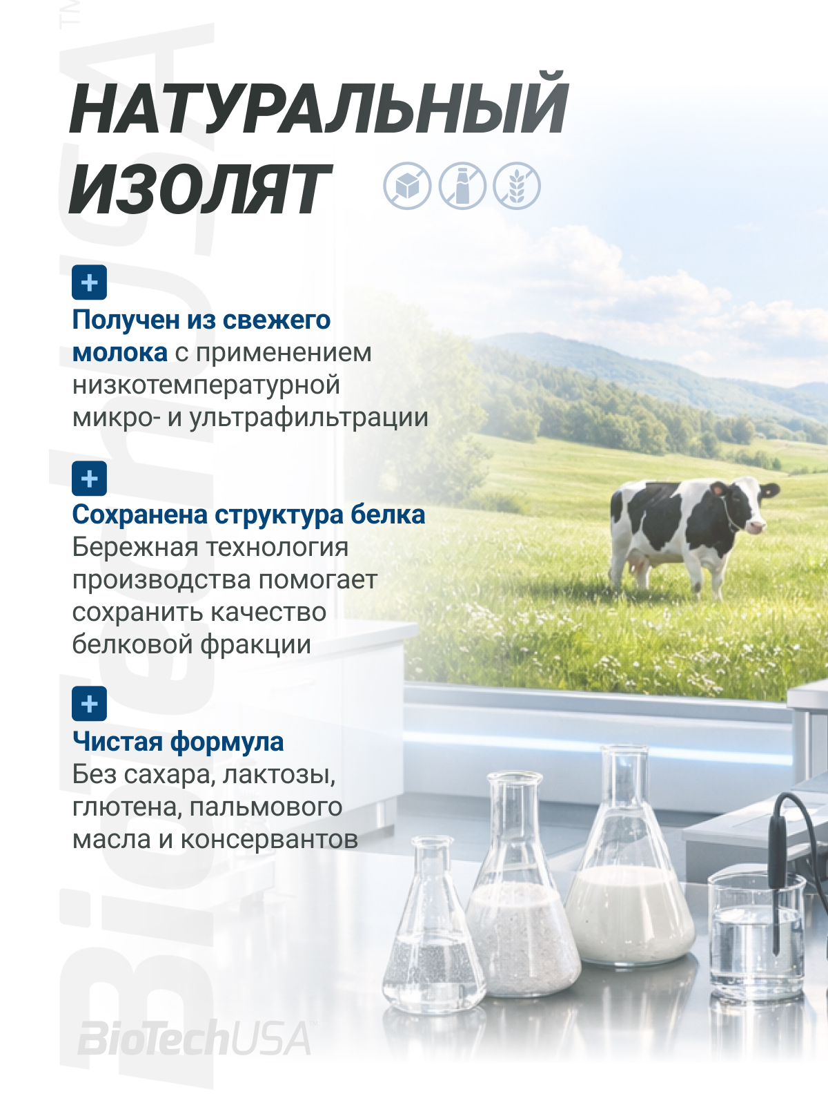 BioTechUSA Iso Whey Zero lactose free natural 908 г