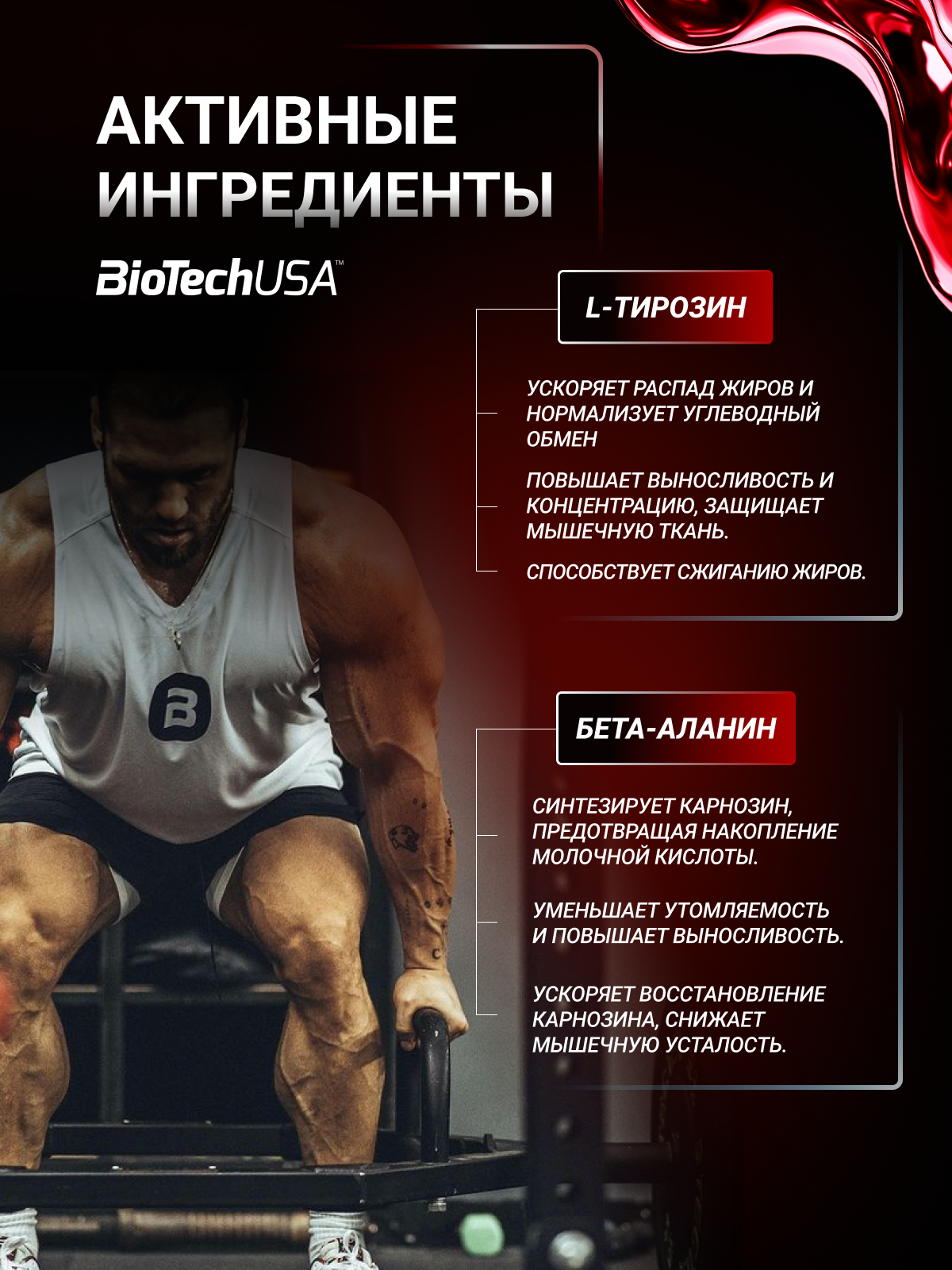 BioTechUSA Black Blood NOX+ 330 г.