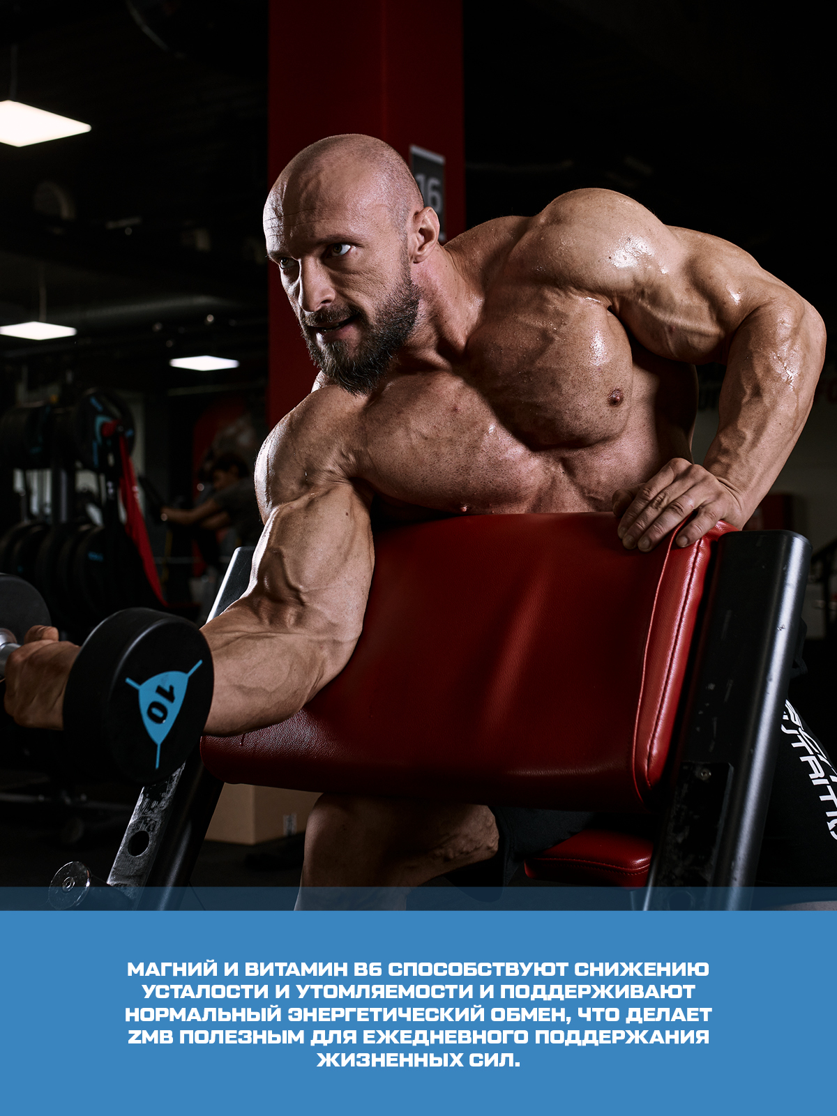 Scitec Nutrition ZMB6 60 капс.