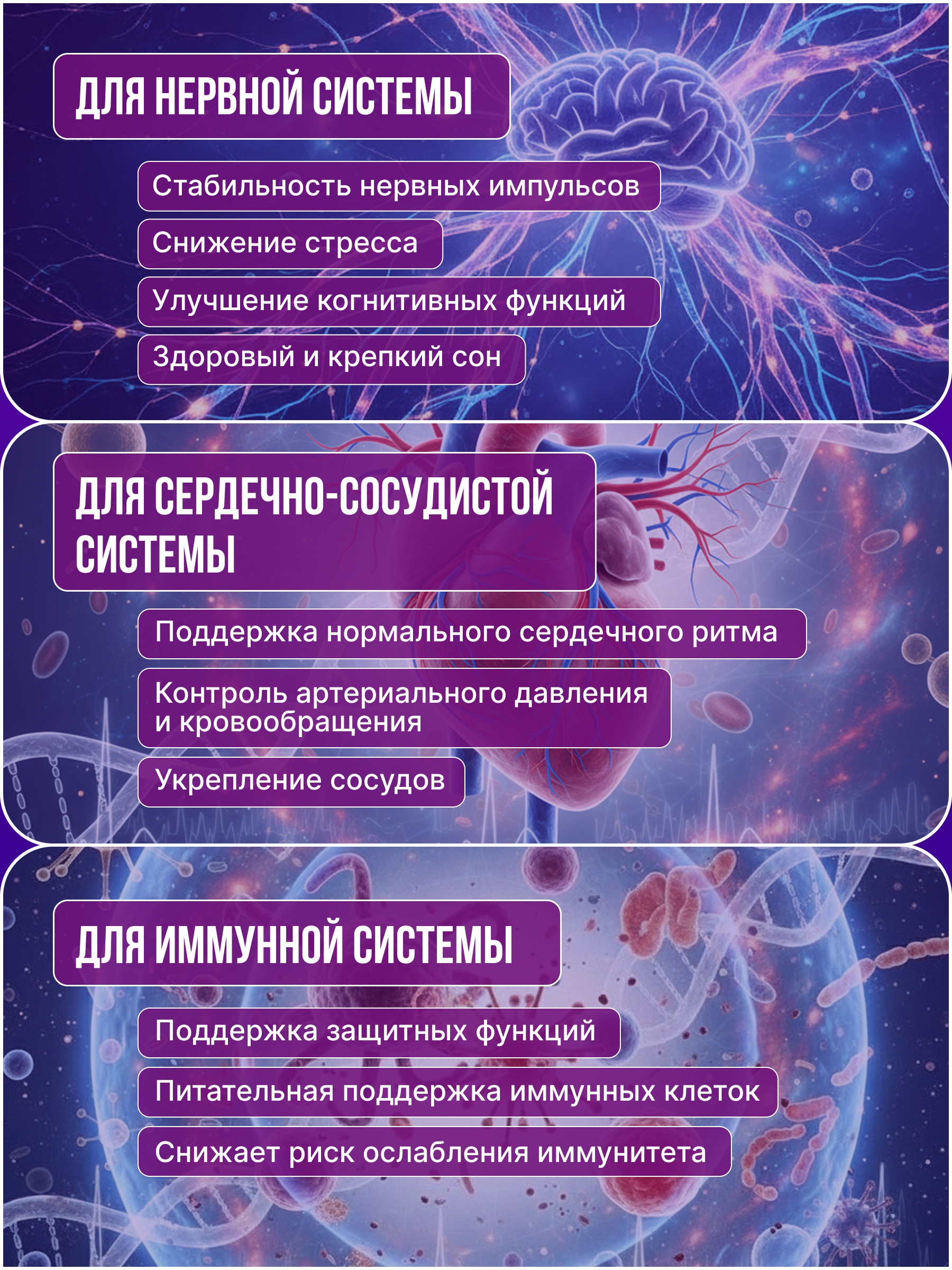 Olimp Labs Chela-Mag B6 120 капс.