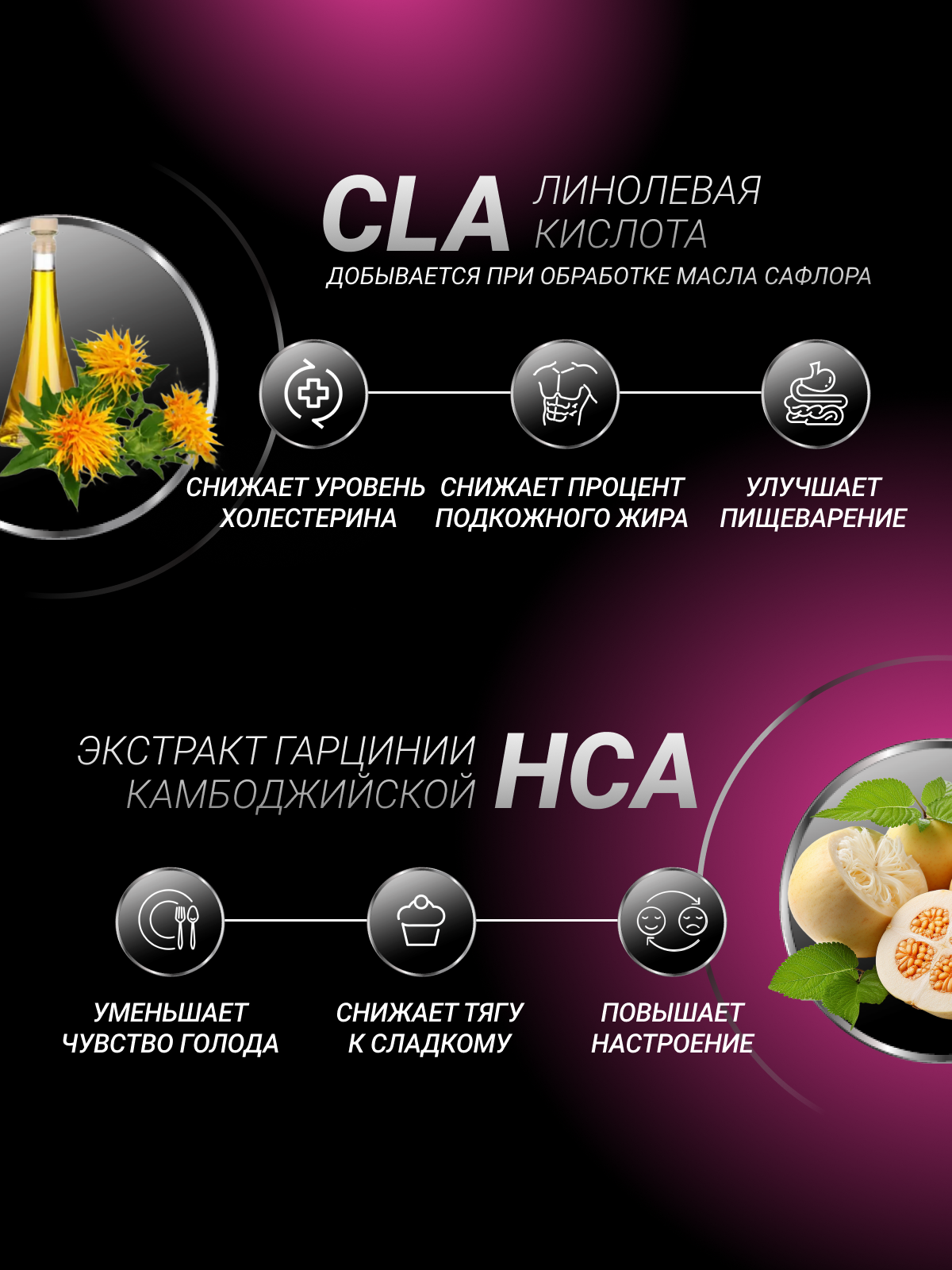 BioTechUSA Carni Elite 90 к.