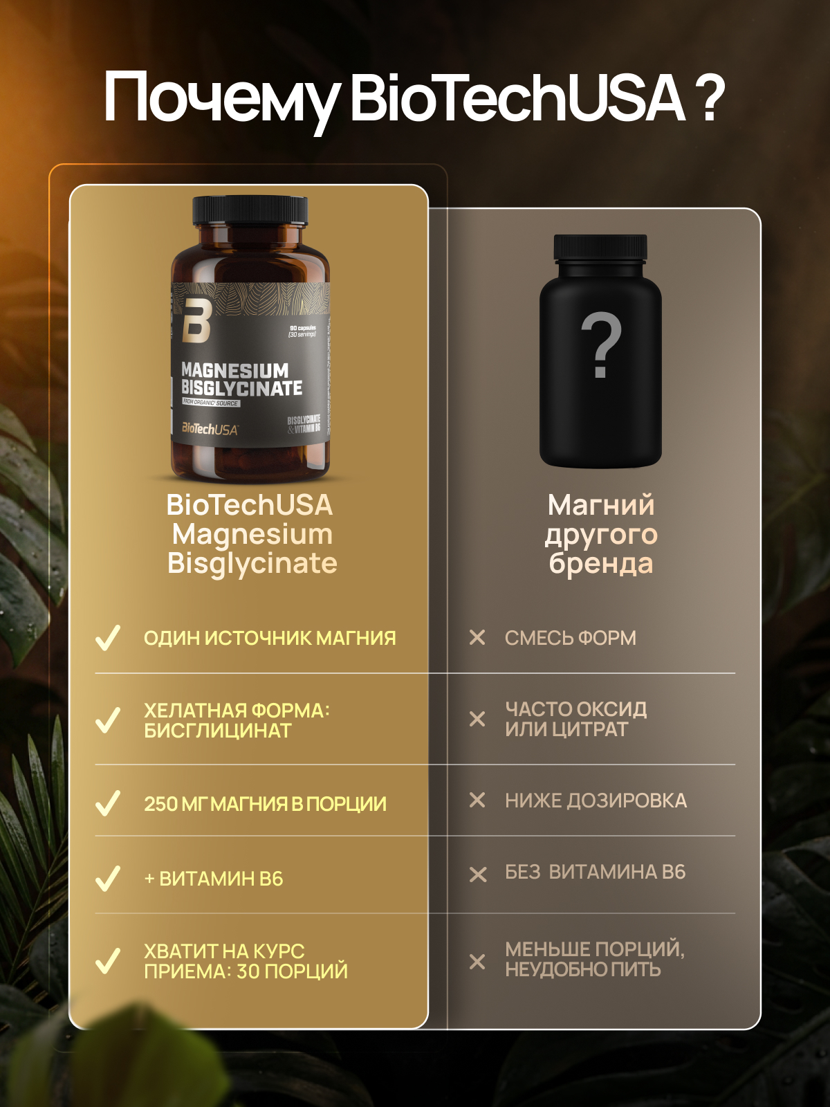 BioTechUSA Magnesium Bisglycinate 90 капс.