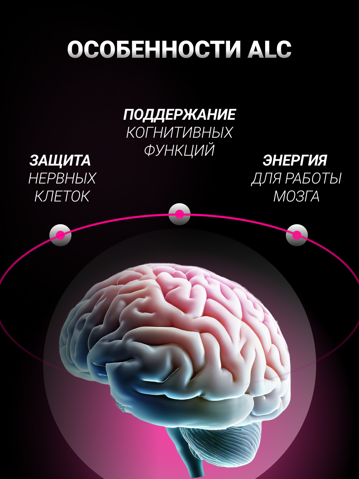 BioTechUSA ALC 60 т.