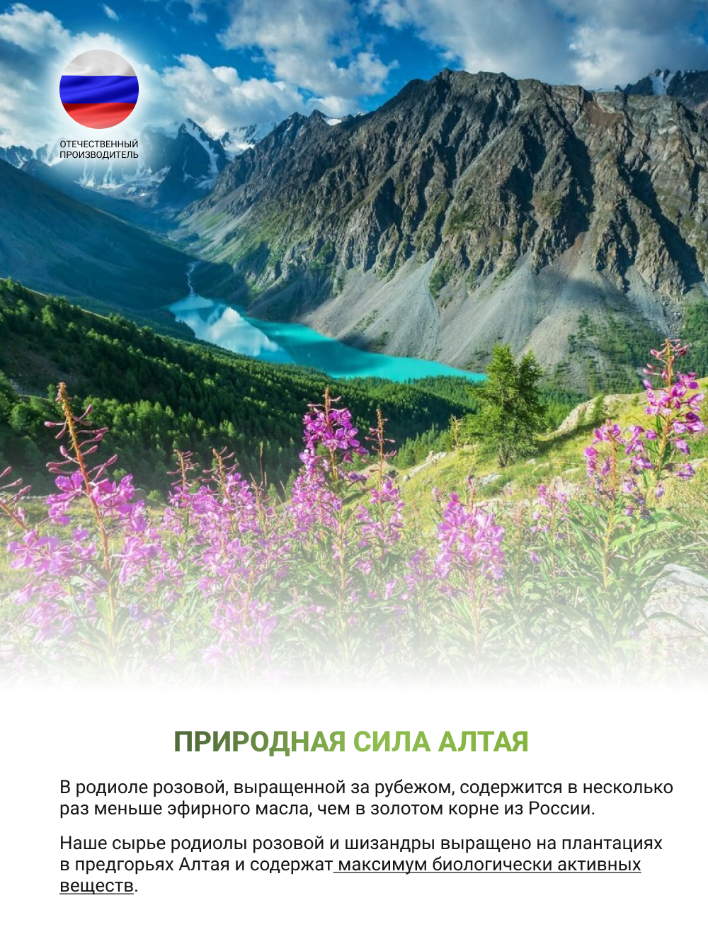 NUTRITABS Rhodiola Rosea + SCHISANDRA 60 капс.