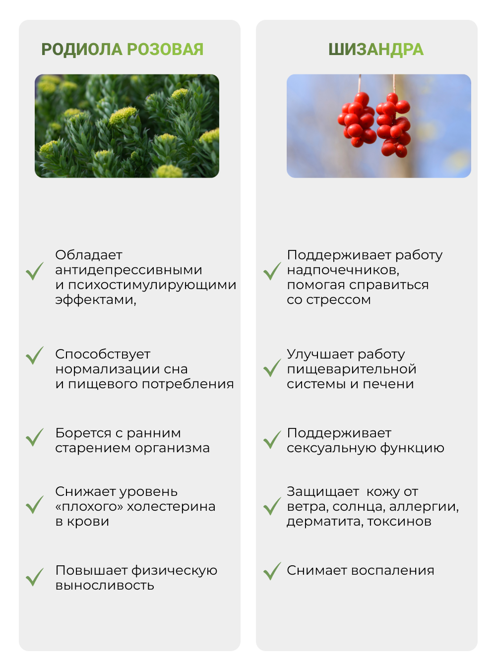 NUTRITABS Rhodiola Rosea + SCHISANDRA 60 капс.
