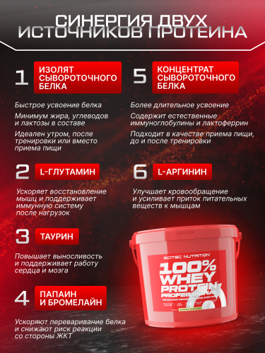 Scitec Nutrition 100% Whey Protein Professional 5000 г. (Банан)