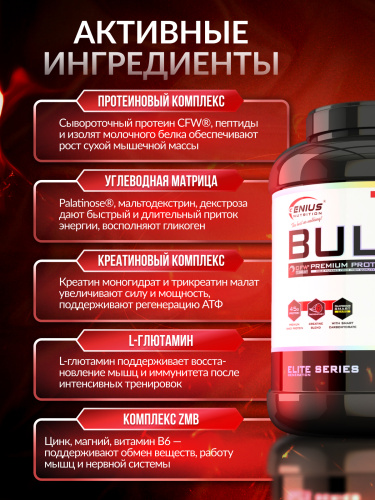 Genius Nutrition Bulk-XT 4000 г.