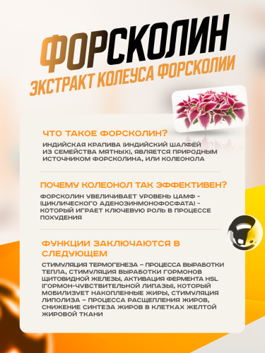 Scitec Nutrition Myofactor 285 г