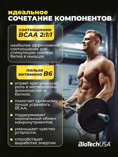 BioTechUSA BCAA+В6 340 т.