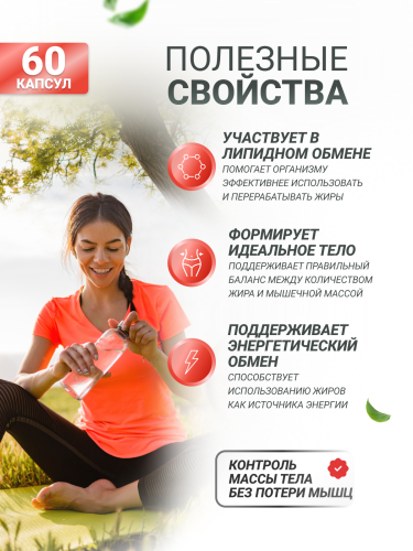 BioTechUSA CLA 400 80 к.