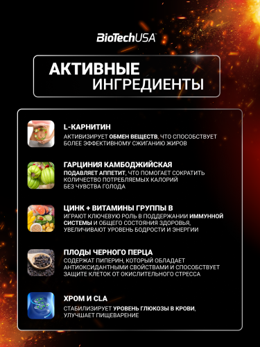BioTechUSA Mega Burner 90 к.