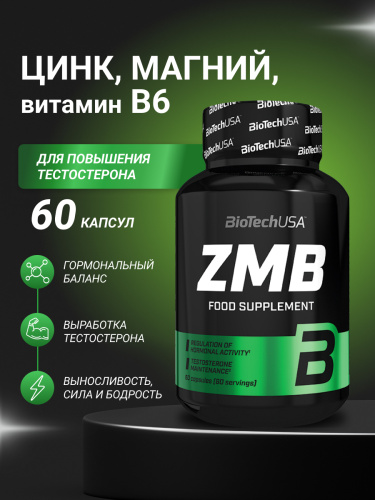 BioTechUSA ZMB 60 к.