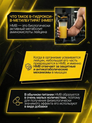 BioTechUSA HMB 1000 150 капс.