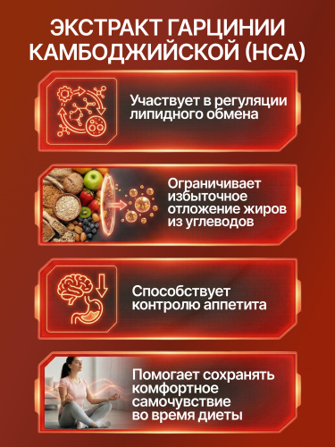 BioTechUSA HCA 100 к.