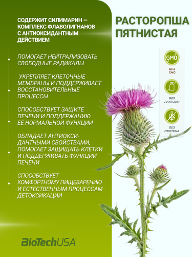BioTechUSA Milk Thistle 60 к.