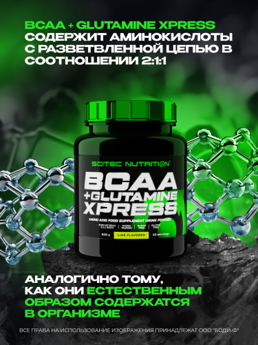Scitec Nutrition BCAA+Glutamine Xpress 600 г