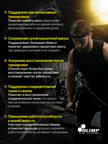 Olimp Sport Nutrition Gold Chicken Pro Amino 9000 Mega Tabs 300 таб.