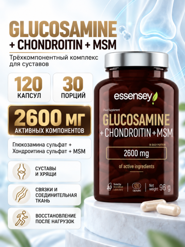 ESSENSEY GLUCOSAMINE+CHONDROITIN+MSM 120 капс